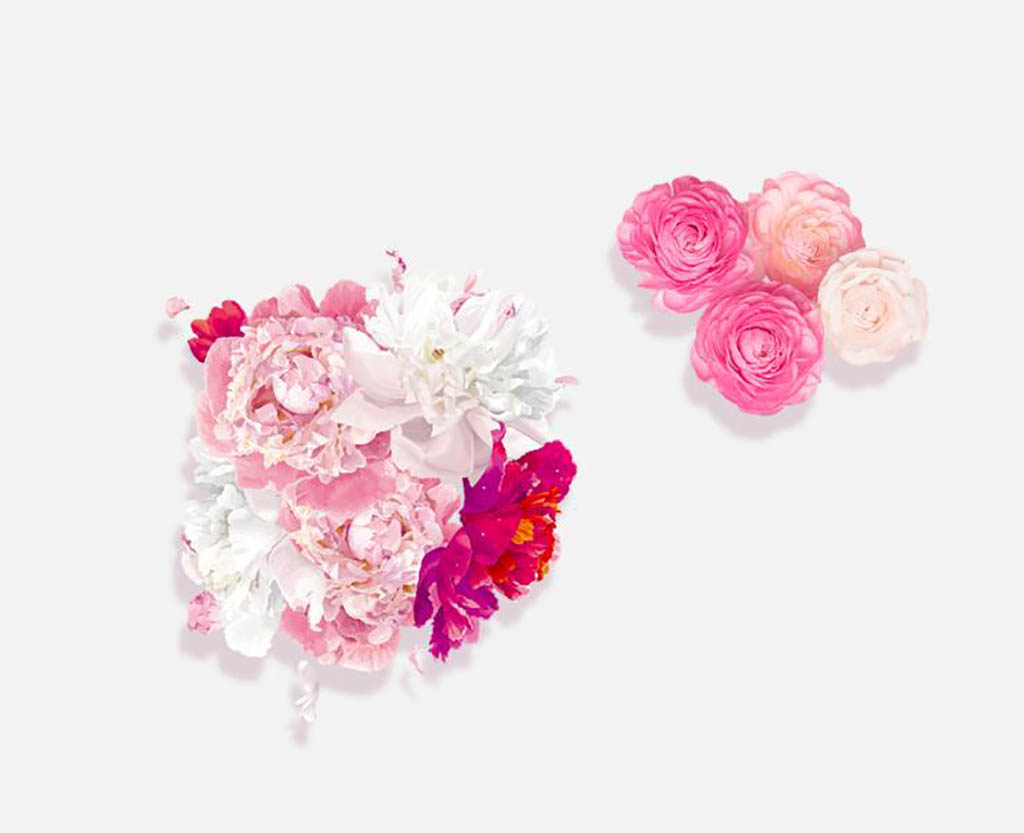 1024x833 Lace Vector Free Download Png Files