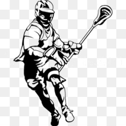 260x260 Lacrosse Clipart Clipartlook