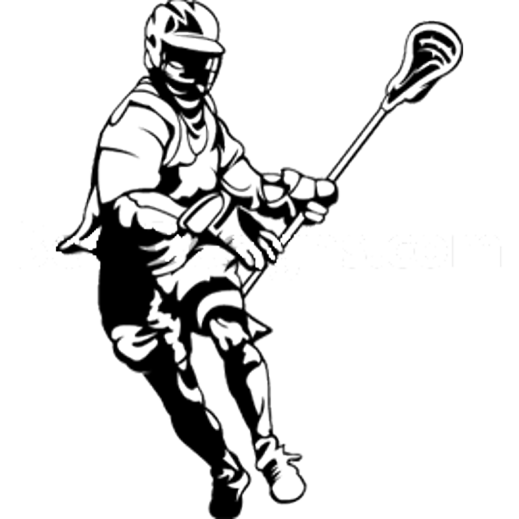 Lacrosse Vector