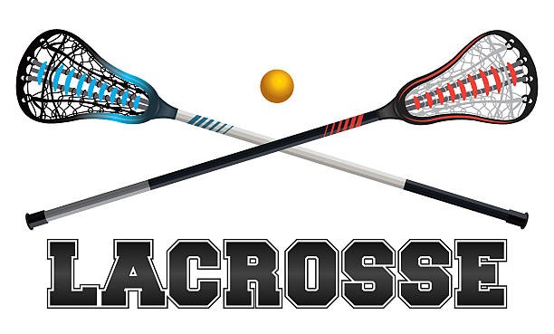 612x369 Lacrosse Design Illustration Vector Id537605340 K 6 M 537605340 S