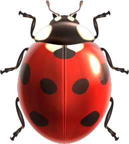 258x288 Ladybird Free Vector Download (25 Free Vector) For Commercial Use