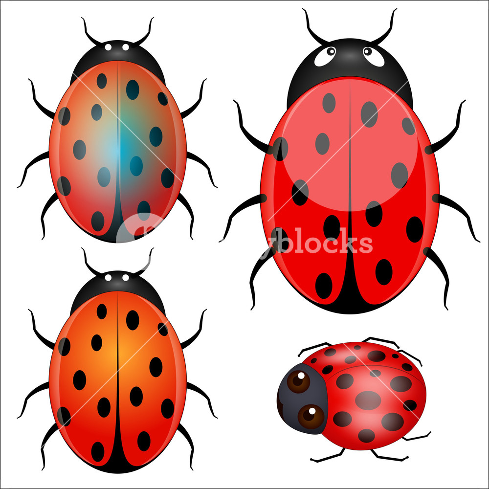 1000x1000 Ladybug Vector Designs Royalty Free Stock Image