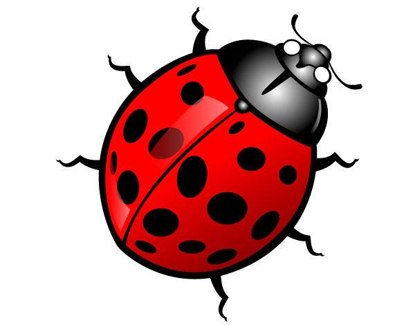 600x470 Ladybug Vector Image 123freevectors