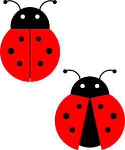 249x299 Ladybug Vector
