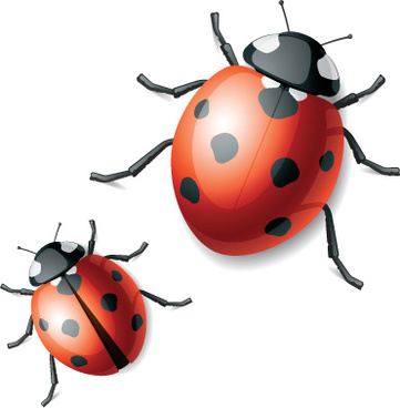 361x368 Free Download Ladybug Vector Free Vector Download (208 Free Vector