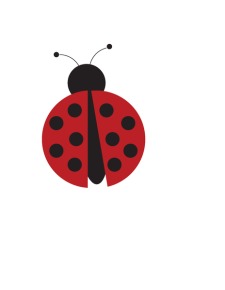 225x290 Ladybug Vector Free Vector 4vector