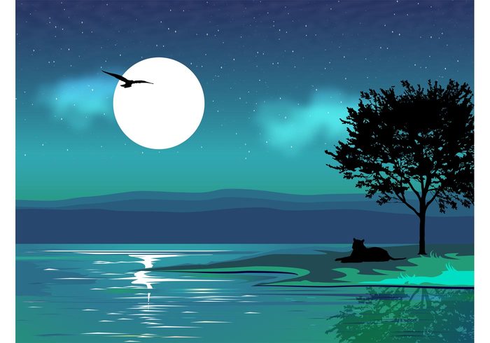 700x490 Backgrounds Night Vector Landscape