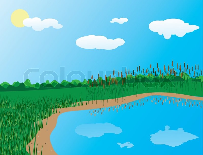 800x613 The Grass On The Lake Vector Illustration Stock Vector Colourbox