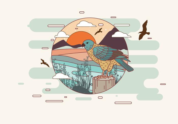 700x490 Buzzard On The Edge Of The Lake Vector