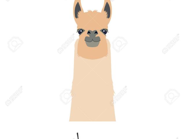 640x480 Lama Clipart Vector 16