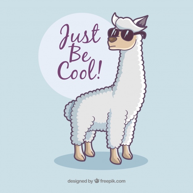 626x626 Lama Vectors, Photos And Psd Files Free Download