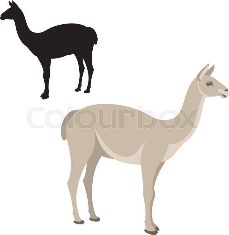779x800 Lama Vector Illustration Style Flat Black Silhouette Stock