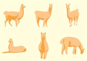 286x200 Llama Free Vector Art