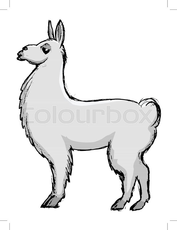 617x800 Vector, Coloured, Sketch, Hand Drawn Image Of Lama Stock Vector