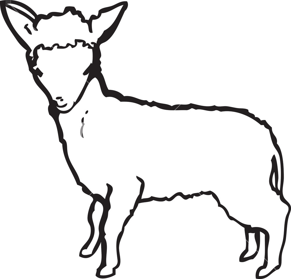 1000x961 Lamb Vector Element Royalty Free Stock Image