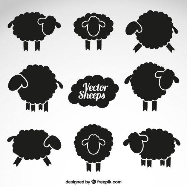 626x626 Sheep Vectors, Photos And Psd Files Free Download