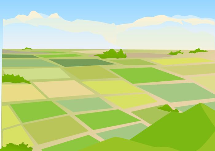 700x490 Vector Illustration Of Rice Field Landscape