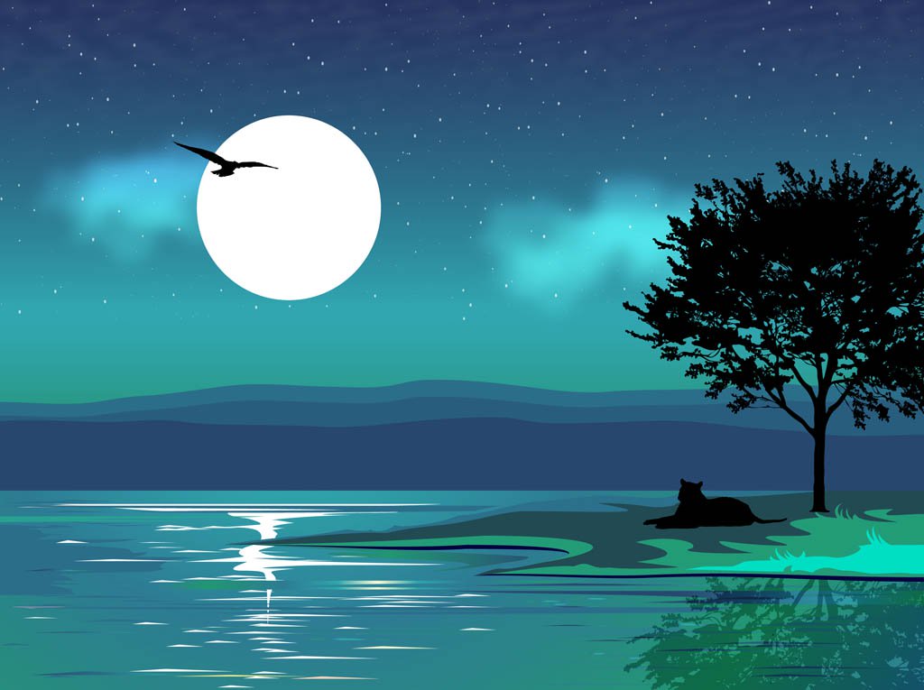 1024x765 Night Vector Landscape Vector Art Amp Graphics