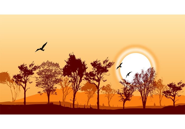 700x490 Forest Landscape Vector