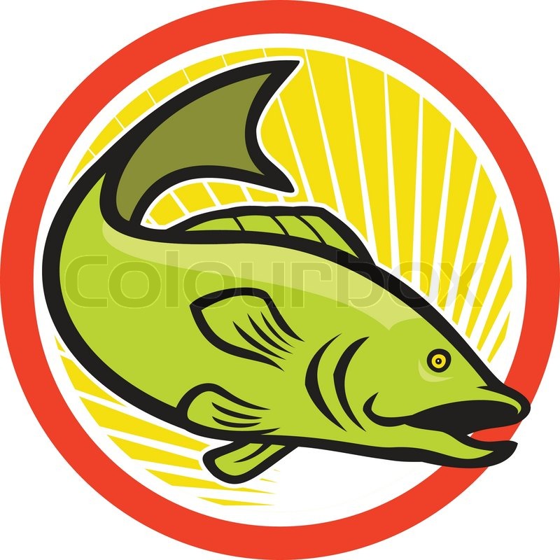 800x800 Largemouth Bass Jumping Cartoon Circle Stock Vector Colourbox