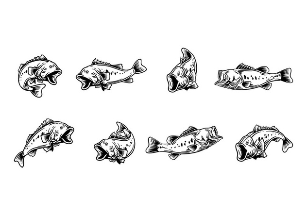 632x443 Largemouth Bass Vector Free Vector Download 375529 Cannypic