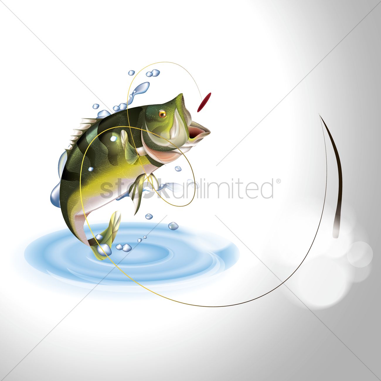 1300x1300 Largemouth Bass Vector Image