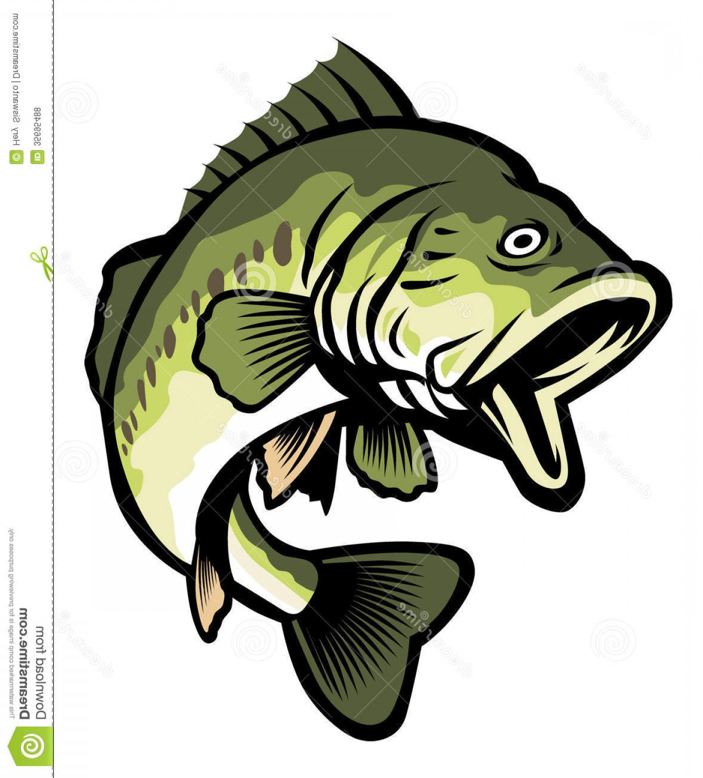 Largemouth Bass Vector at GetDrawings | Free download