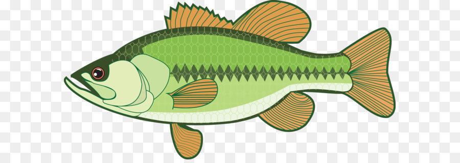 900x320 Bass Guitar Clip Art