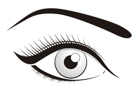 450x300 19 Lashes Vector Closed Huge Freebie! Download For Powerpoint