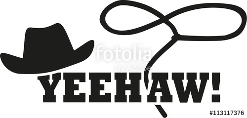 500x239 Cowboy Western Hat With Lasso