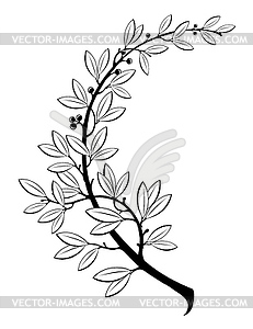 231x300 Contains Laurel Branch