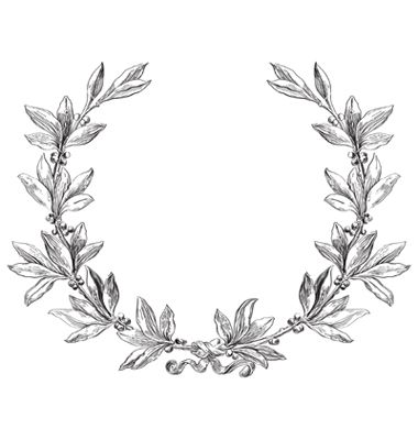 380x400 Hand Drawn Laurel Wreath Vector By Song Mi On