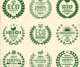 280x235 Laurel Wreath Vector