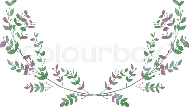 800x456 Drawn Watercolor Greenery Laurels Vector Illustration. Watercolor