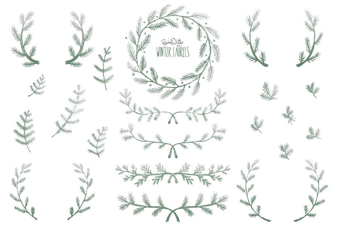 1160x772 Winter Laurels