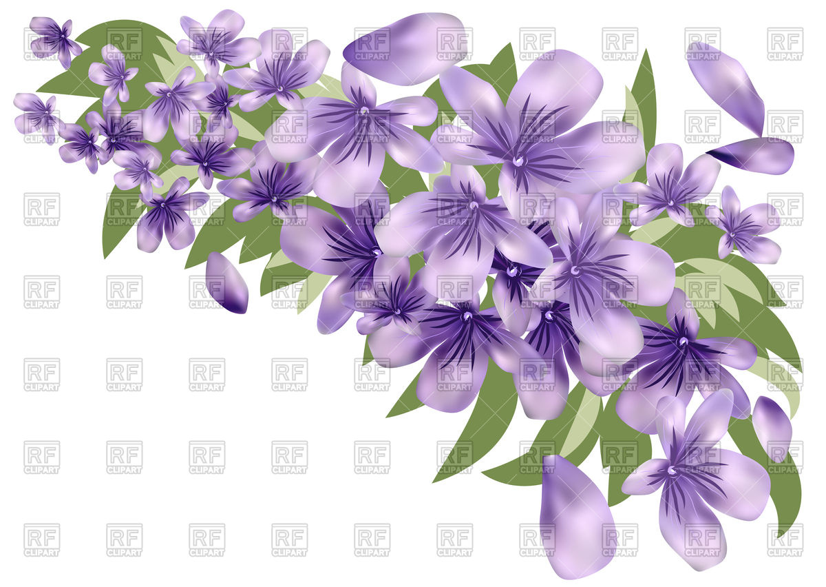 1200x852 Lavender Flower With Leaves Vector Image Vector Artwork Of