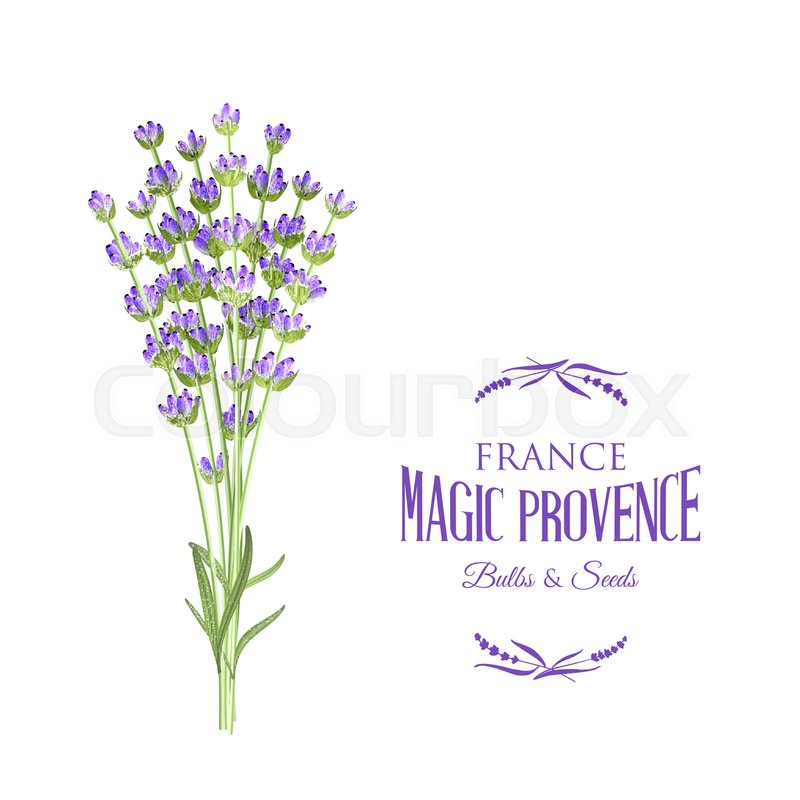 800x800 The Lavender Elegant Card With Bouquet Of Flowers And Text