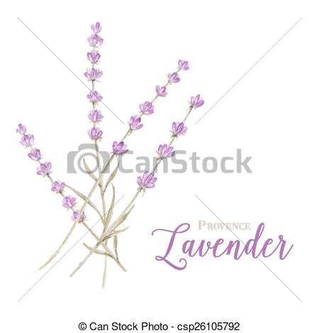 450x470 Label With Lavender Flowers And Damask Frame. Vector Illustration.