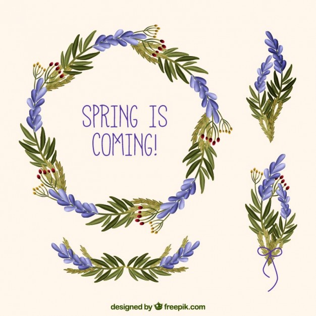 626x626 Lavender Vectors, Photos And Psd Files Free Download