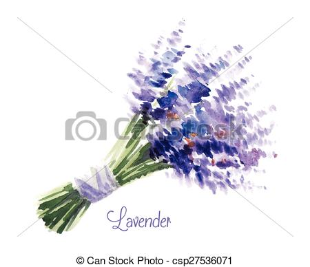 450x388 Vector Watercolor Bouquet Of Lavender. . Delicate Watercolor