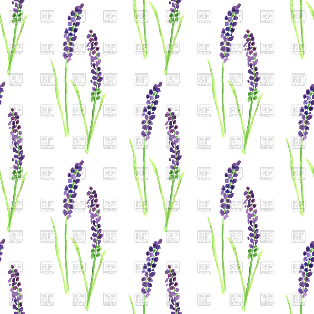 1200x1200 Watercolor Painted Seamless Lavender Pattern Vector Image Vector
