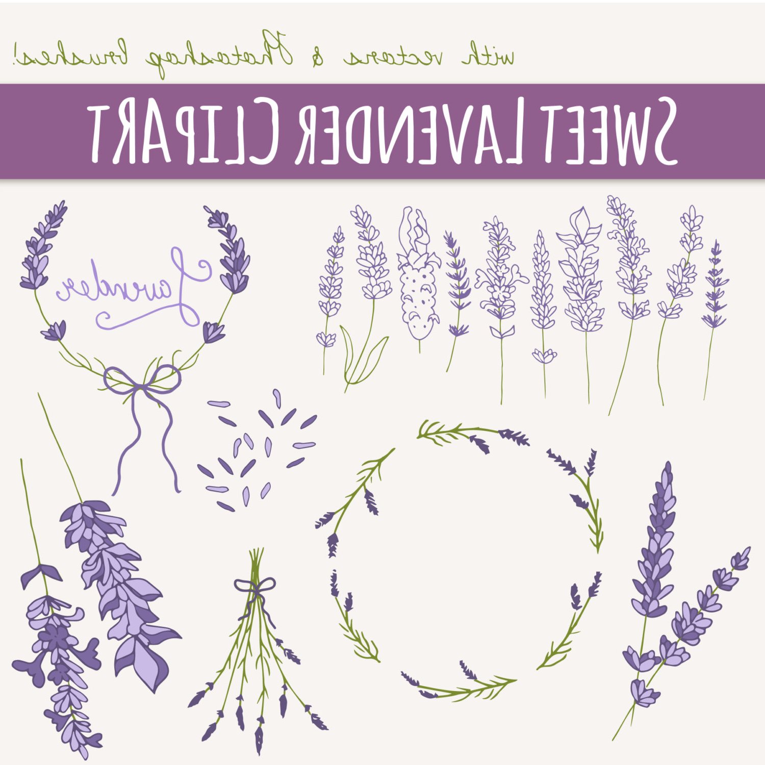 1500x1500 Drawn Lavender Vector 3366235