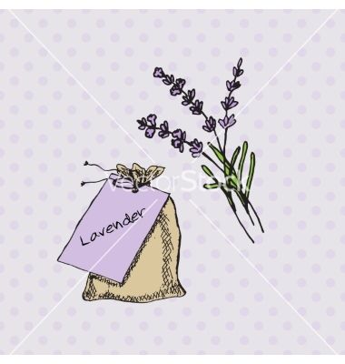 380x400 Health And Nature Collection Lavender Vector By Lillia On