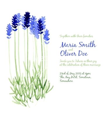 380x400 Background With Blue Watercolor Lavender Vector 4342901