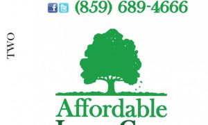 300x180 Lawn Care Business Card Vector Freizeit Job