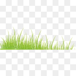 260x260 Decorative Grass Png Images Vectors And Psd Files Free