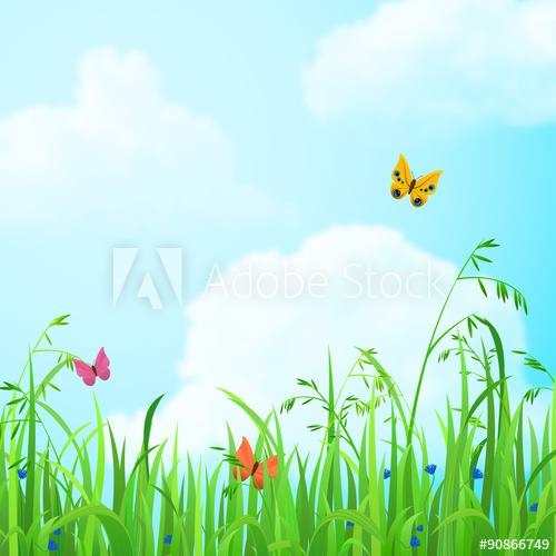 500x500 Flower Grass Lawn