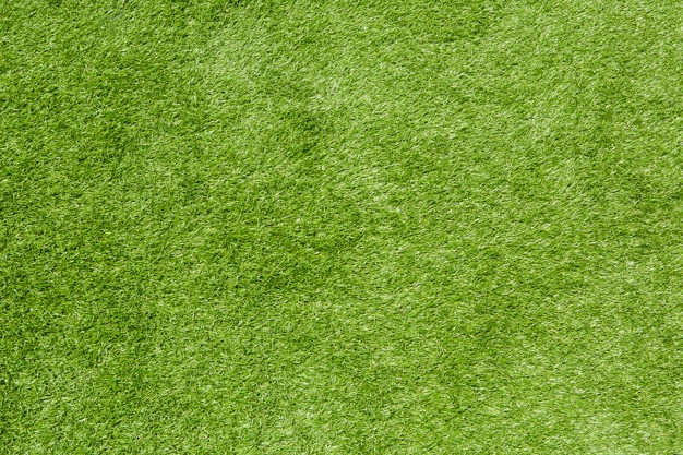 626x417 Grass Vectors, Photos And Psd Files Free Download