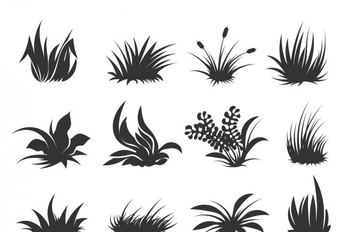 720x479 Grass And Lawn Vector Silhouettes By Microvector