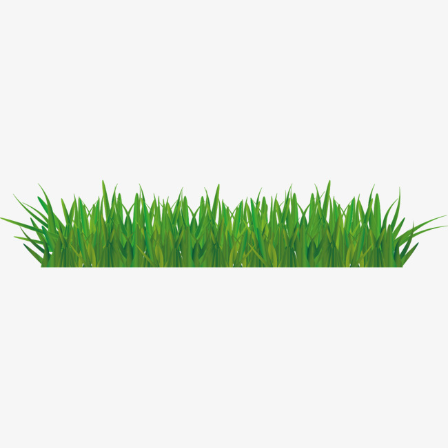 650x651 Green Lawn Vector Material, Green Vector, Green, Meadow Png And